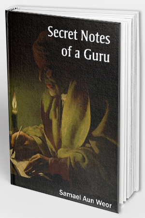 Secret Notes of a Guru