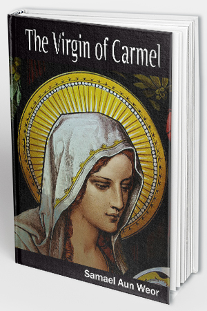 The Virgin of Carmel
